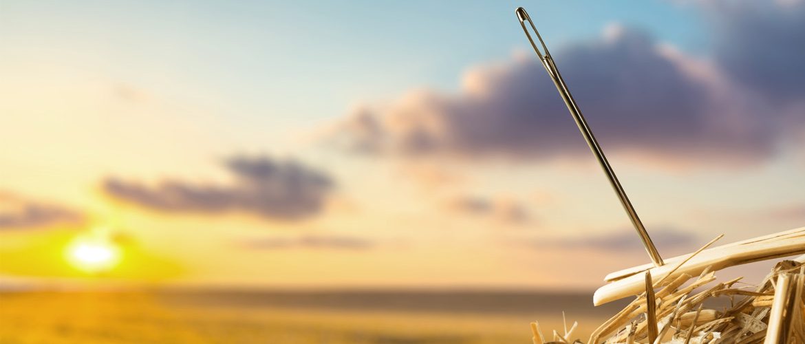 Needle on a haystack